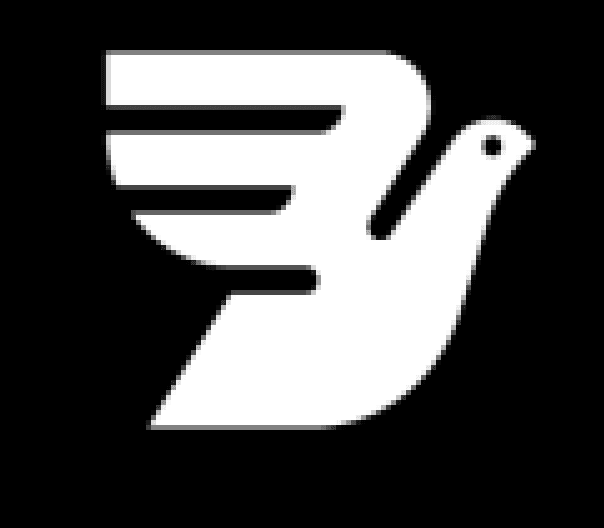 Bird Messenger